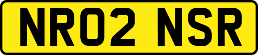 NR02NSR