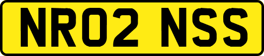 NR02NSS