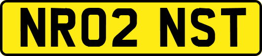 NR02NST