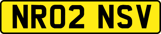NR02NSV