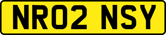 NR02NSY
