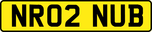 NR02NUB