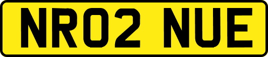NR02NUE