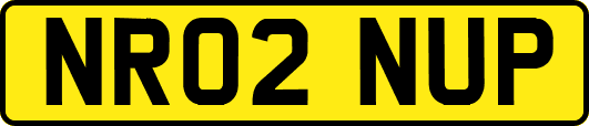 NR02NUP