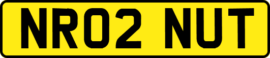 NR02NUT