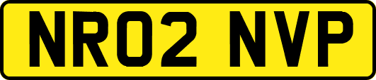 NR02NVP