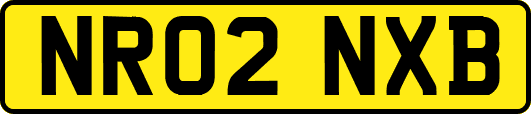 NR02NXB