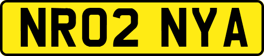 NR02NYA