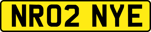 NR02NYE