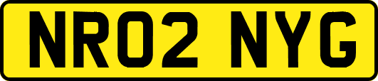 NR02NYG