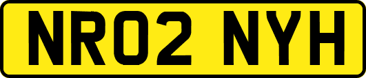 NR02NYH