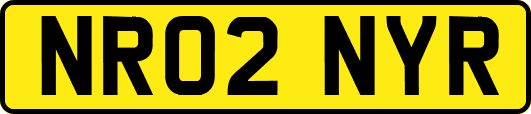 NR02NYR