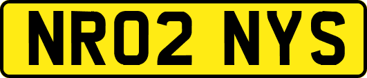NR02NYS