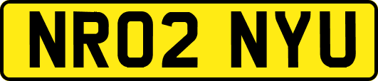 NR02NYU