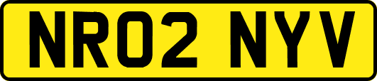 NR02NYV