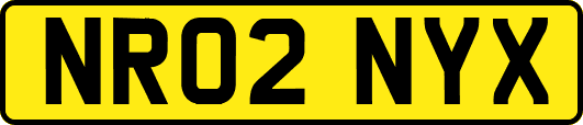 NR02NYX