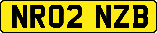 NR02NZB