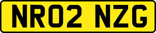 NR02NZG