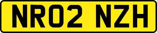 NR02NZH
