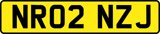 NR02NZJ