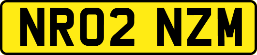 NR02NZM