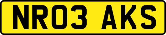 NR03AKS