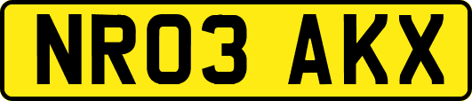 NR03AKX
