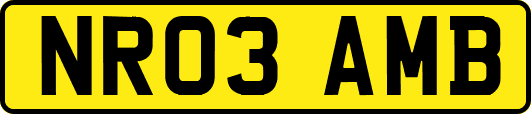NR03AMB