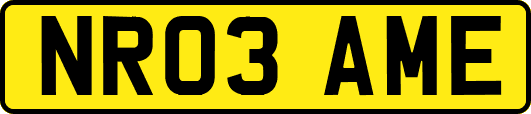 NR03AME
