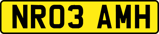 NR03AMH