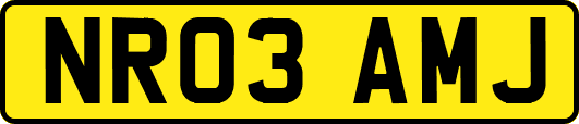 NR03AMJ
