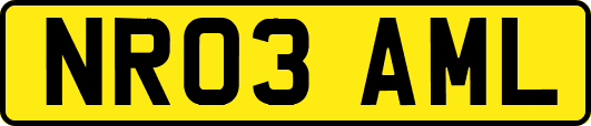 NR03AML