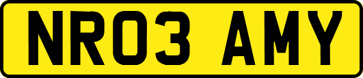 NR03AMY