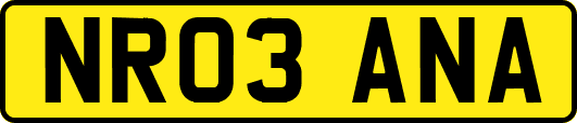 NR03ANA