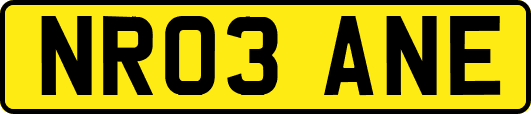 NR03ANE