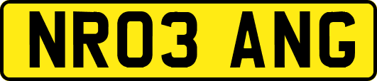 NR03ANG