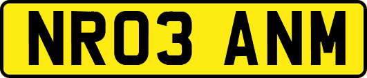 NR03ANM