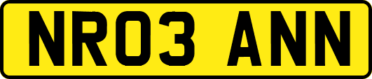 NR03ANN