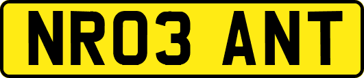 NR03ANT