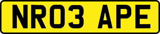 NR03APE