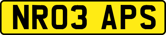 NR03APS