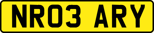 NR03ARY