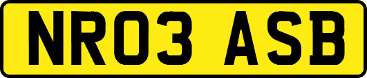 NR03ASB