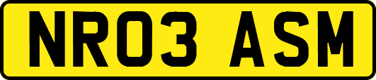NR03ASM