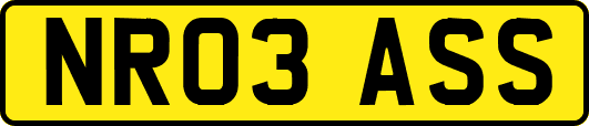 NR03ASS