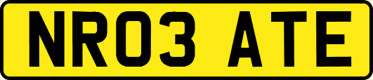 NR03ATE