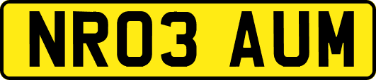 NR03AUM