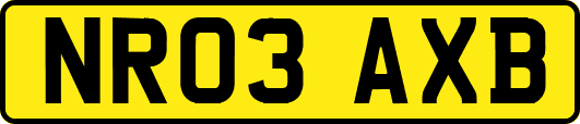NR03AXB