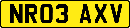 NR03AXV