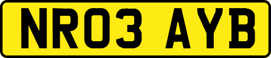 NR03AYB